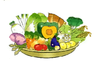 ぬかのめぐみポリ袋 野菜の鮮度保持 ぬかのめぐみポリ袋 野菜の鮮度保持