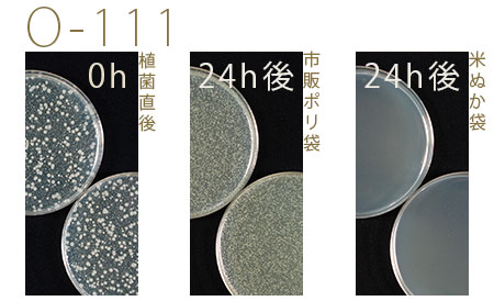 o111抗菌効果試験結果 o111抗菌効果試験結果