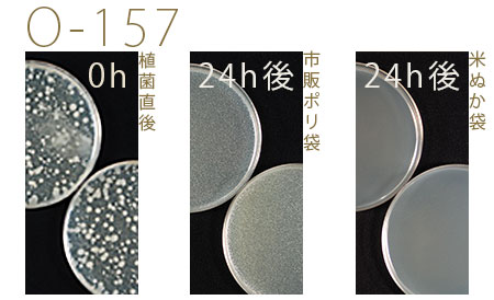 o157抗菌効果試験結果 o157抗菌効果試験結果